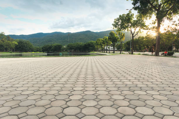 Best Residential Driveway Paver Services  in Winfield, IA